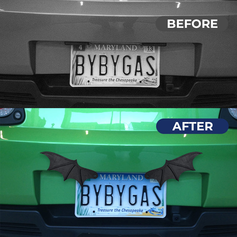 Bat Wings Decoration